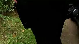 Dama u crvenom želi  ...
