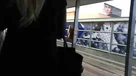 Kučka je dobila emma ...