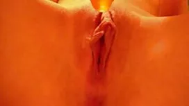 Kuja liže znojnu muš ...