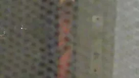 Premazujući svoje du ...