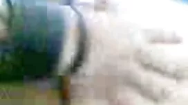 Lijepa djevojka se f ...