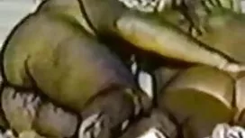 Francuski drolja se  ...